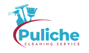 Puliche Cleaning
